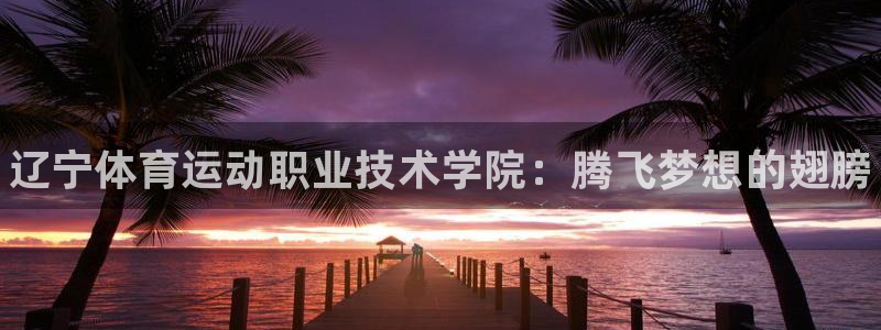 J9官方正版app集团logo:辽宁体育运动职业技术学院:腾