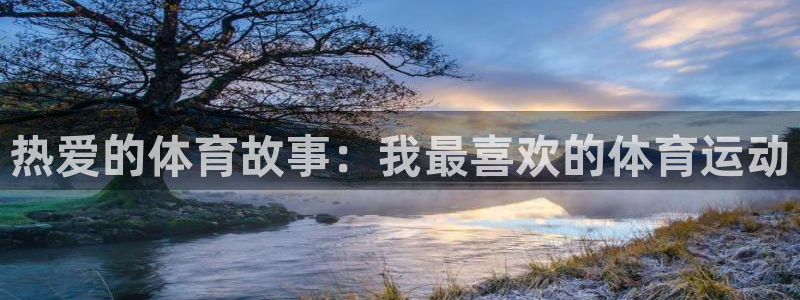 J9官方正版app官网:热爱的体育故事:我最喜欢的体育运动